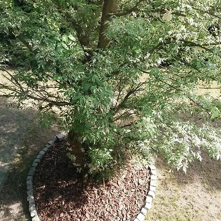 Tabu Accommodatie bij particulieren *