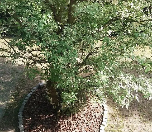 Tabu Homestay szállás *